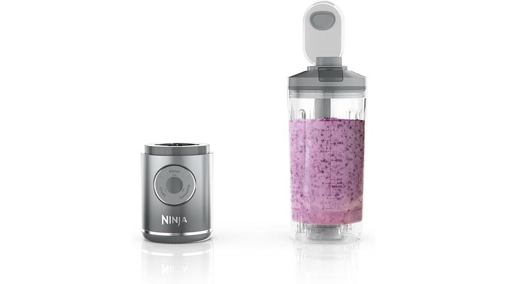 portable ninja blender