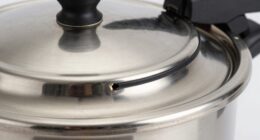 pressure cooker seal issues