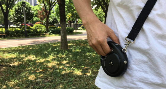 14 Best Hands-Free Dog Leashes in 2026
