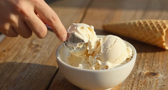 14 Best Vanilla Ice Creams in 2026