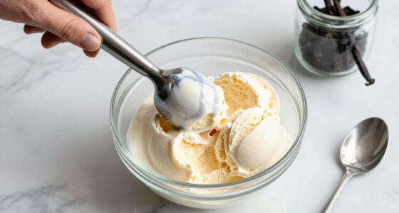15 Best Vanilla Ice Creams in 2026