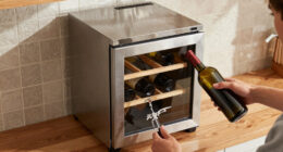 15 Best Wine Refrigerators in 2026