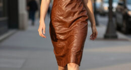 15 Best Leather Midi Dresses in 2026