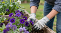 9 Best Purple Perennial Flowers in 2026