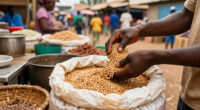 Beans Price Hike Forces Lagos Consumers To Cut Purchases - News Agency Of Nigeria