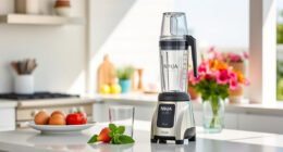 Beat the Summer Heat with the Ninja Blast Portable Blender