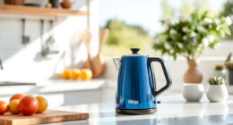 Beat the Summer Heat with the Ninja KT200BL Electric Kettle