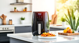 Summer Care & Troubleshooting for Ninja Foodi 10 Qt Air Fryer