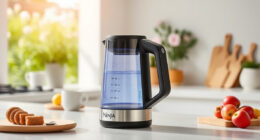 Summer Care & Troubleshooting for Ninja KT200BL Electric Kettle