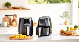 Summer Savings on the Ninja Air Fryer 4 Qt — Perfect for Quick, Healthy Meals
